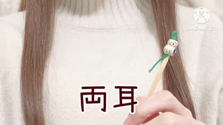 【声なし】雑な木の耳かき earpick ASMR no talking 音フェチ 片耳&両耳