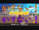 マリオカート8DX初心者ががんばって1位をとるだけ【#337】