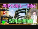 河津七滝ループ橋と深海魚博物館