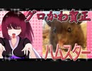 グロかわちゃんのハムスターの日常。32