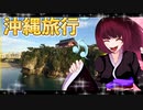 グロかわちゃんの沖縄旅行18