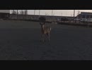 ぶらり散歩　#88　2023/4/13