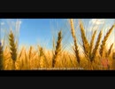 大美中国（第6集）——生态美食（英文版）The Great Beauty of China Episode 6 Ecological Food Production
