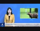 武漢海鮮市場から流出したコロナウイルス起源は人からである可能性