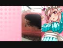 クリスのハムスターの日常。15