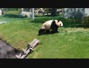 パンダ前転