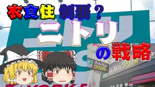 企業解説～ニトリ～後半（戦略編）