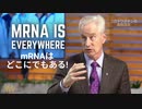 ピーター・マッカロー博士：mRNAはどこにでもある！完全除去は証明されず！