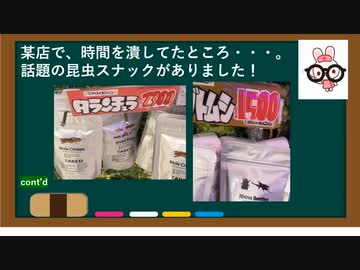 久々動画 - そこら辺のお店に売ってる昆虫のスナック