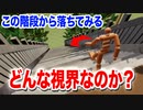 【出世の石段】凄い階段があったので落ちてみて視界を確かめた