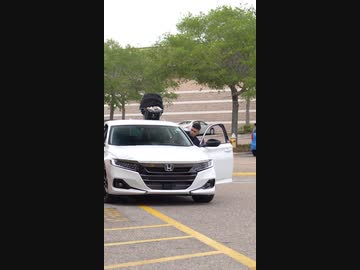 ホモと見る赤ちゃんを上に乗せて走る車