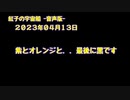 紅子の宇宙船 －音声版－ 2023年04月13日