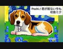 Pochi / 君が居ない今も
