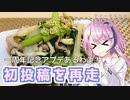 【CeVIOキッチン】一周年記念アップデート！！再走.豚と小松菜の炒め物【フィーちゃんにおいふぃーと言わせたい】#50