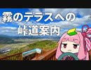 霧のテラスへの峠道案内【京都亀岡】