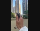 ホモと見るブーメランムササビ