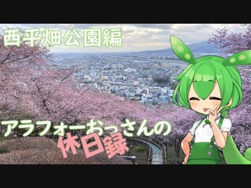 【松田町】アラフォーおっさんの休日録 西平畑公園編【ずんだもん車載】