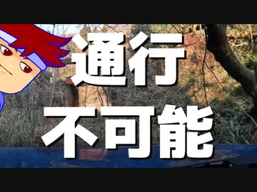 ワキ・モッサリ系編。【バーチャルいいゲーマー佳作選】