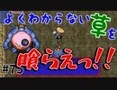 【風来のシレン5Plus】#75 喰わせて混ざれ！【風来のシレン初プレイ(原始に続く穴編)】
