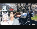 風見に任せて矢祭山の桜【W175車載】