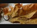 香り fragrance 【フリーBGM】