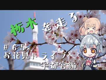 【CeVIO車載】栃木を走る#65　お花見ドライブ 宇都宮編