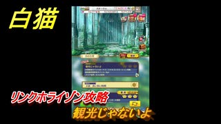白猫　 リンクホライゾン攻略　観光じゃないよ　ガチャキャラ　クロカ（斧）イクシア（杖）シロー（双剣）　９周年イベントEP１　＃７　【白猫プロジェクト】