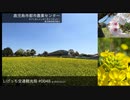 しげっち交通観光局#0048 トリシティ155で行く「鹿児島市都市農業センター@鹿児島市」/2023.03.27