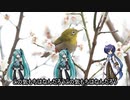 【VOCALOID合唱曲】春に【ミクKAITO】