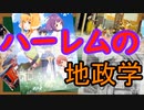 なんちゃって地政学　ハーレムの地政学『あきサル考察』　修正版