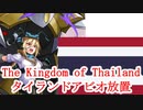 解説付き、強化後のタイラントドラゴン+アビオ放置