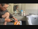3時さんお魚さばく