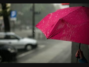 雨の記憶