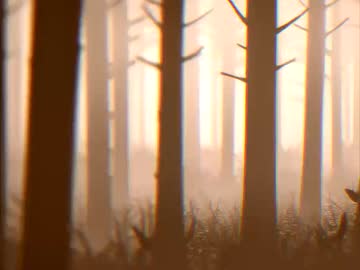 パラオナボーイ（短調）.mp3