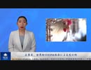 広東省、世界初のH3N8感染による死亡例