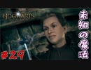 えっ？その魔法大丈夫ですか？　「ホグワーツ・レガシー」　＃29
