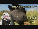 紲星あかりのお肉ツアー＠14食目【theHunter】