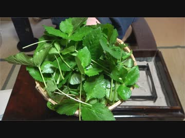 三つ葉とハマグリの鍋【長火鉢とおっさん305】