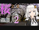 【桜 2023】  桜並木 黒目川2 上落馬橋 ～白山公園（東京都東久留米市）