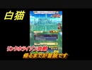 白猫　 リンクホライゾン攻略　帰るまでが冒険です　ガチャキャラ　クロカ（斧）イクシア（杖）シロー（双剣）　９周年イベントEP１　＃２９　【白猫プロジェクト】