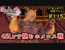 【DRAGON QUEST Ⅺ】人生初のドラクエを全部しばってプレイするPart115【協力実況】