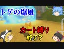 【マリオカート8DX】縛りで1位を目指す！カート編part3【ゆっくり実況】