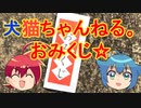 【ネタ】出かける前のおみくじ☆