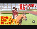 第41話「猫神様！？」【サクラスクールシミュレーター】【sakura school simulator】