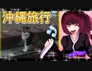 グロかわちゃんの沖縄旅行19