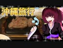 グロかわちゃんの沖縄旅行20