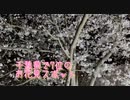 船橋市にある桜のトンネル