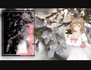 ささらのパシャ旅 004【2023/04/01 横浜市瀬谷区_海軍道路の桜】
