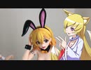 ヒヨリちゃんのフィギュアフェスPART14