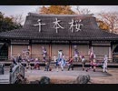 【原神】千本桜踊ってみた【MV風】